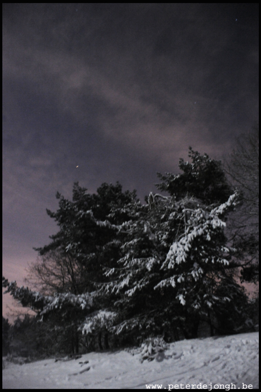 winter