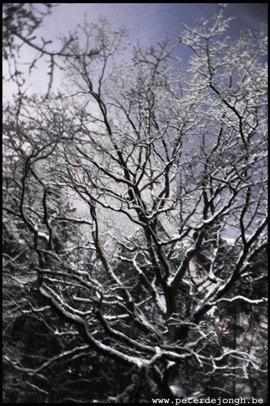 winter