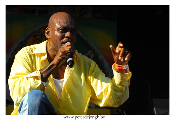 stichie -reggae geel