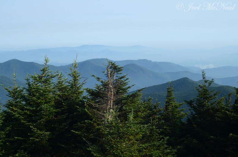 View from summit of Mt. Mitchell