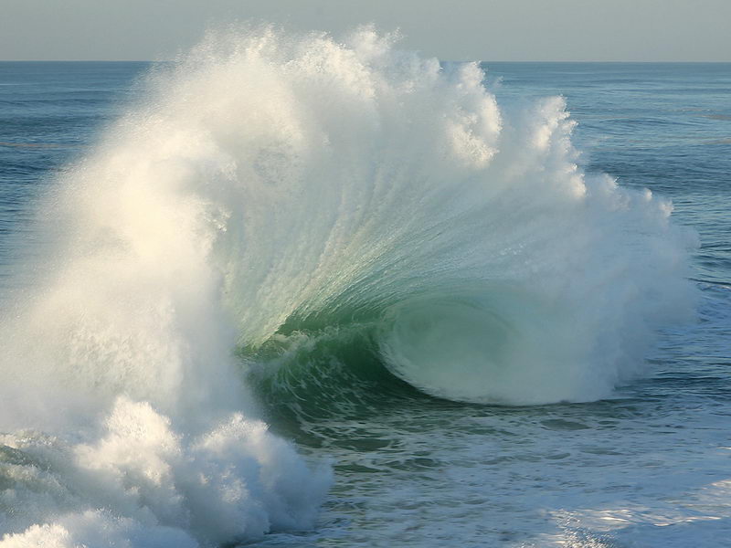 Perfect Backwash