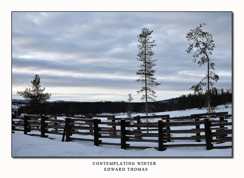 Contemplating Winter