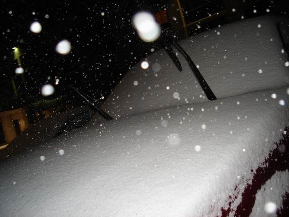 hood and windshield