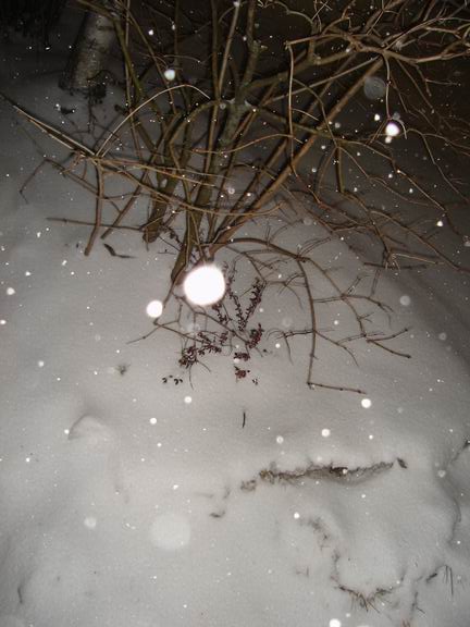 snow snow snow