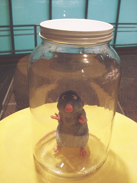 Ratatouille2.jpg