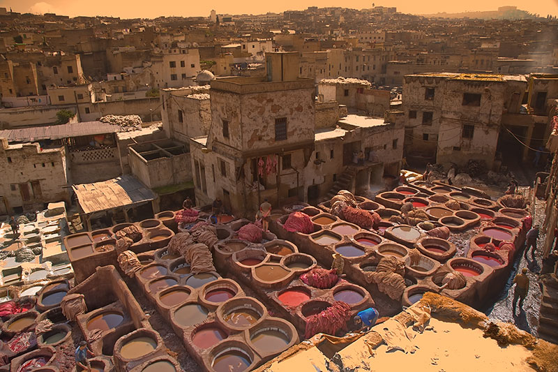 Medina4613SM.jpg