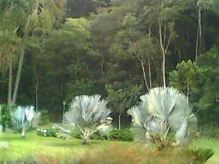 IMG0024A.jpg