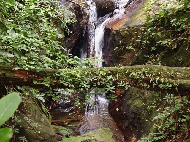 DSC03340.JPG