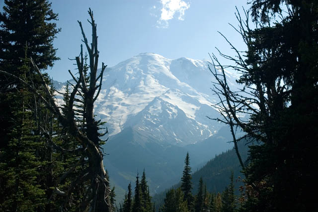 Mt. Rainer 3