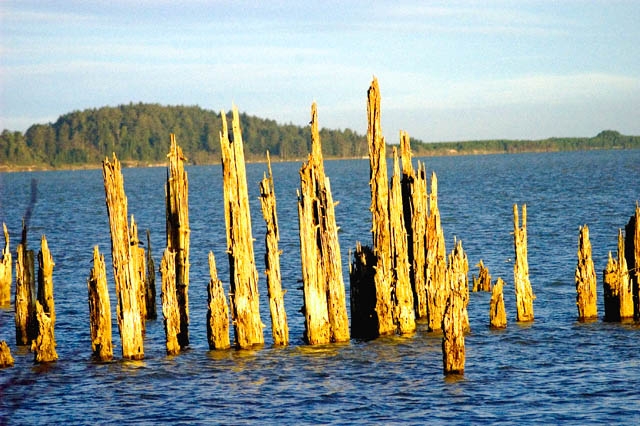 Sunlite Piling