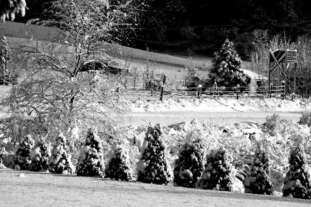 Our Driveway