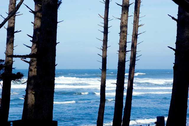Beyond The Trees