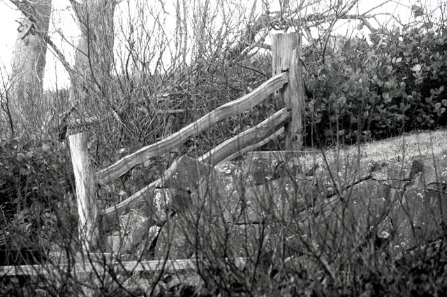 Fence