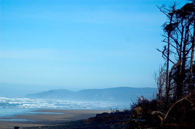 Along The Beach