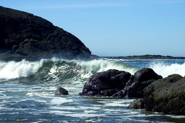 Fogarty Creek State Park 2