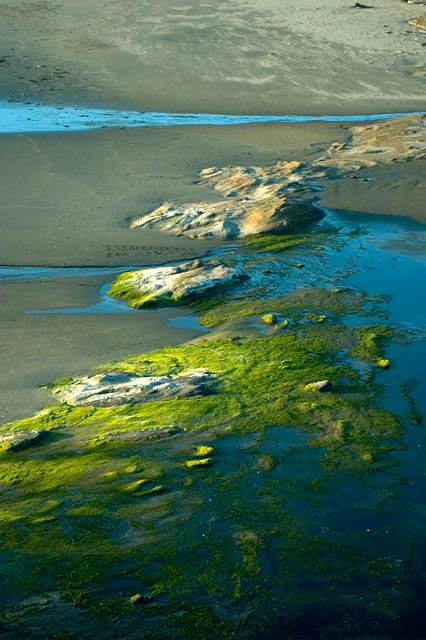 Beach Collage