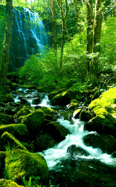 University Falls