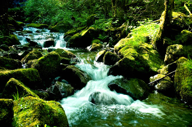 Downstream