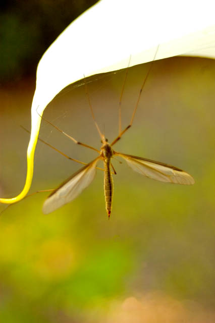 Hanging On