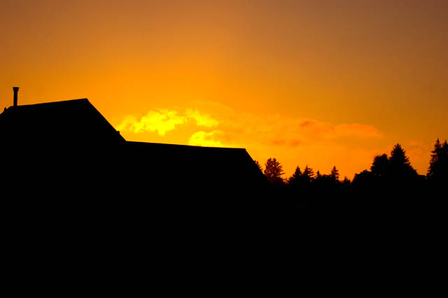Evening Silhouette