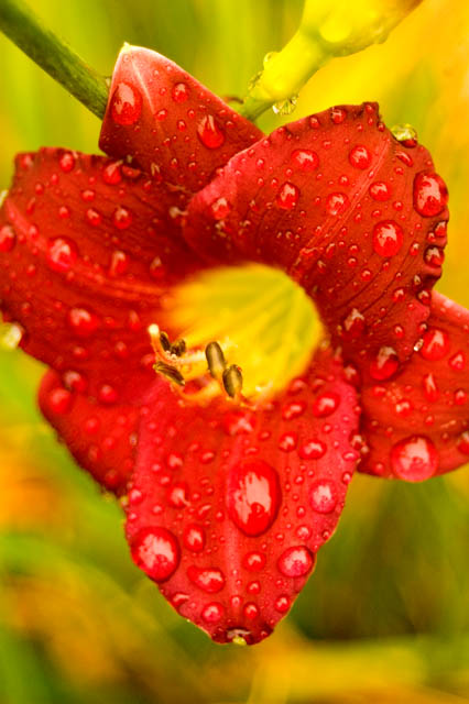 Rainy Days