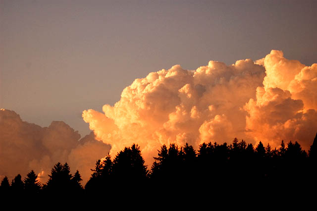 Thunder Heads
