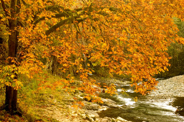 Fall