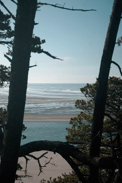 Taken At Oceanside, Or.