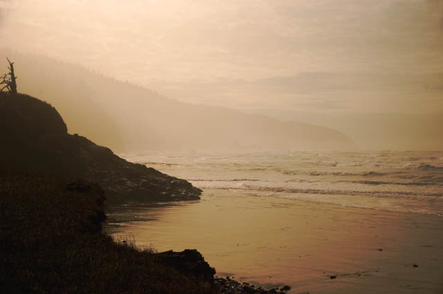 Cape Lookout State Park