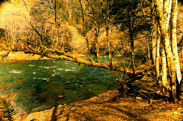 Trask River