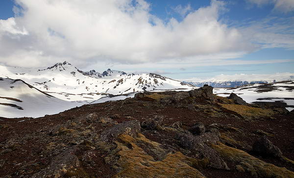 _MG_11240.jpg