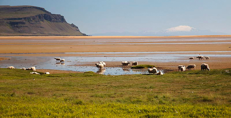 _MG_1333.jpg