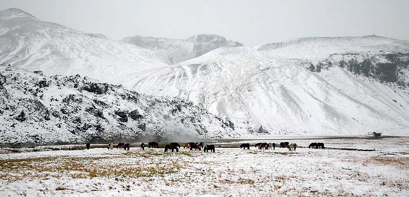 _MG_2477.jpg