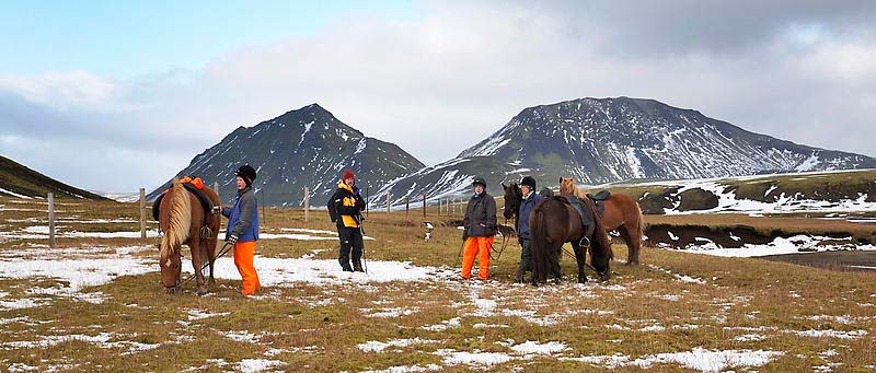 _MG_3050.jpg