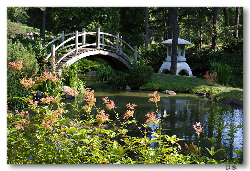 Japanese garden 8-9-8