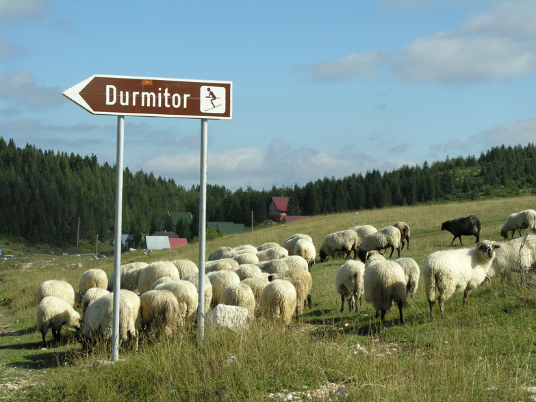 Day 7: Zabljak - Pluzine