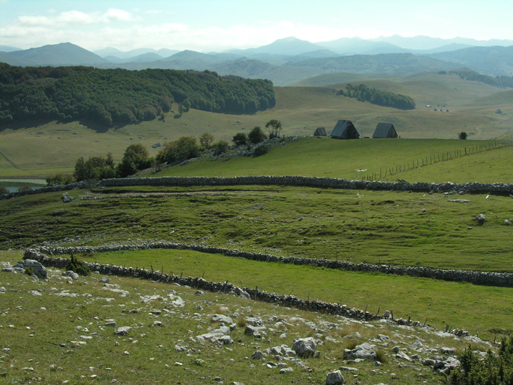 Day 7: Zabljak - Pluzine