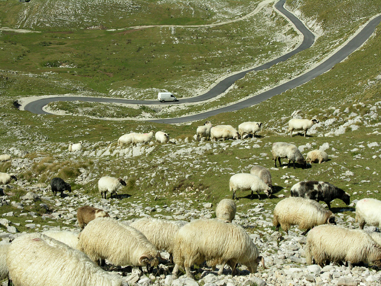 Day 7: Zabljak - Pluzine