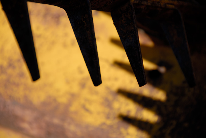 web_8808.jpg