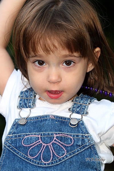 s800IMG_5930.jpg