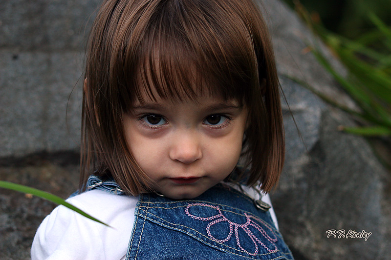 s800IMG_5937.jpg