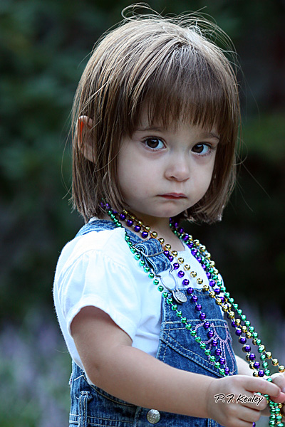 s800IMG_5961.jpg