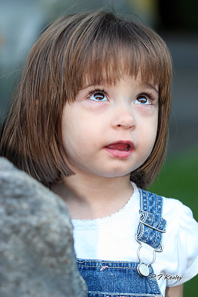 s800IMG_5964.jpg