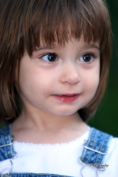 s800IMG_5969.jpg