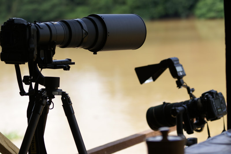 Kinabatangan - Nikon D2X and 500mm (left) D200 and 300mm (right)