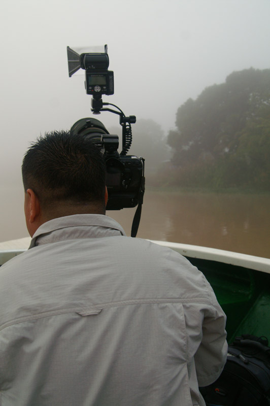 Kinabatangan - Choo Tse Chien in action