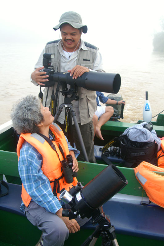 Kinabatangan -