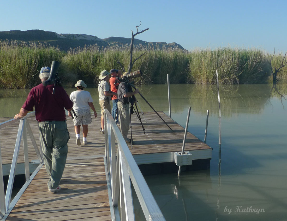 BB-Birding small pond.jpg