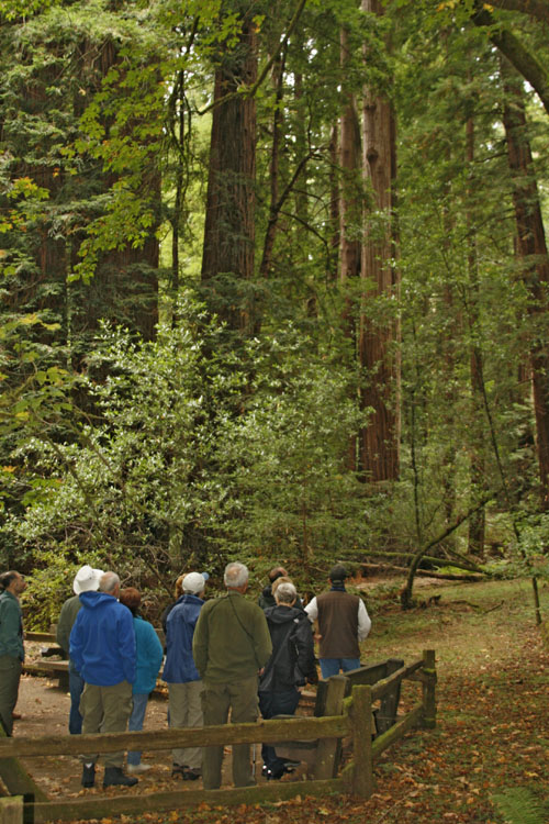 _MG_1718Vent_Calif.jpg