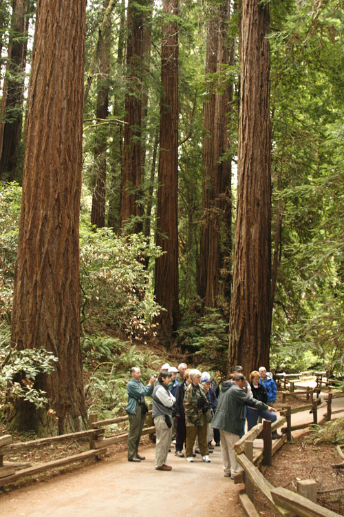 _MG_1720Vent_Calif.jpg